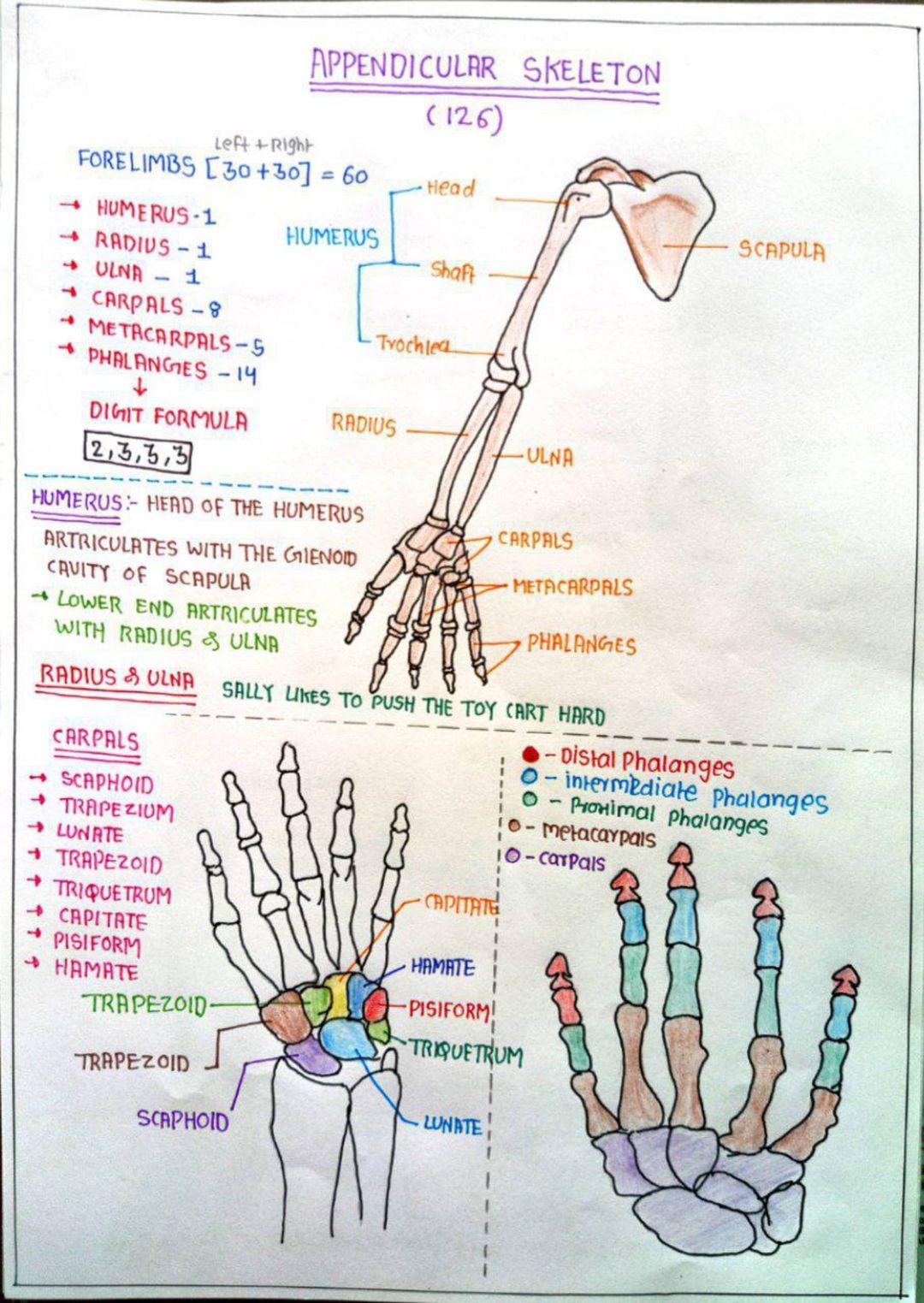 Post image 1