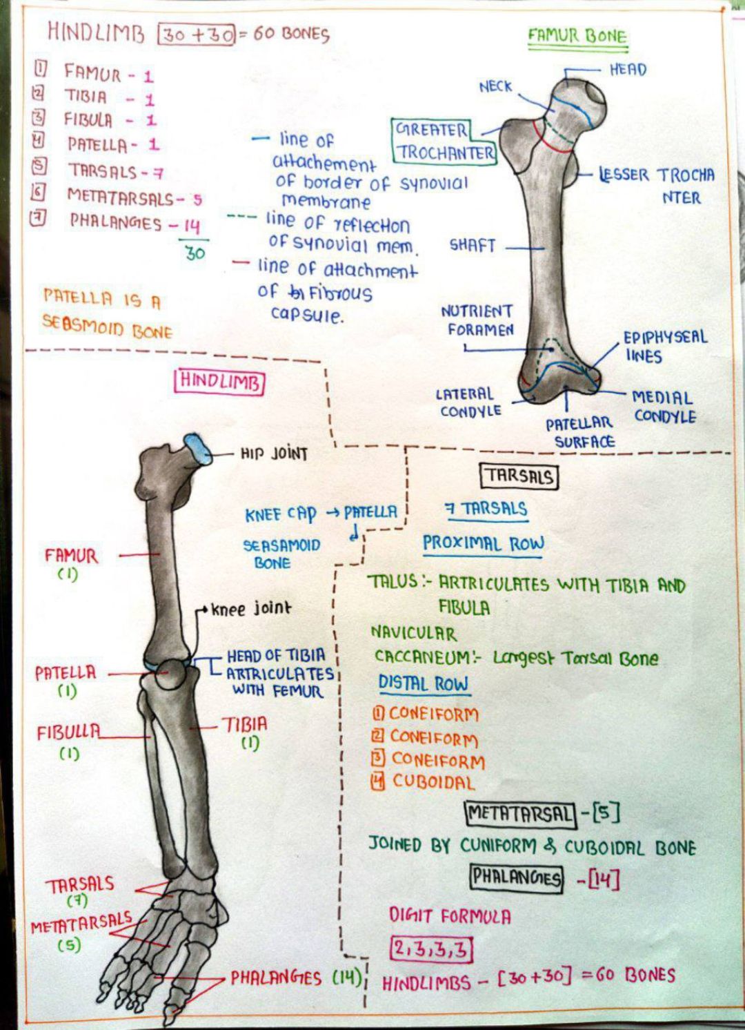 Post image 2