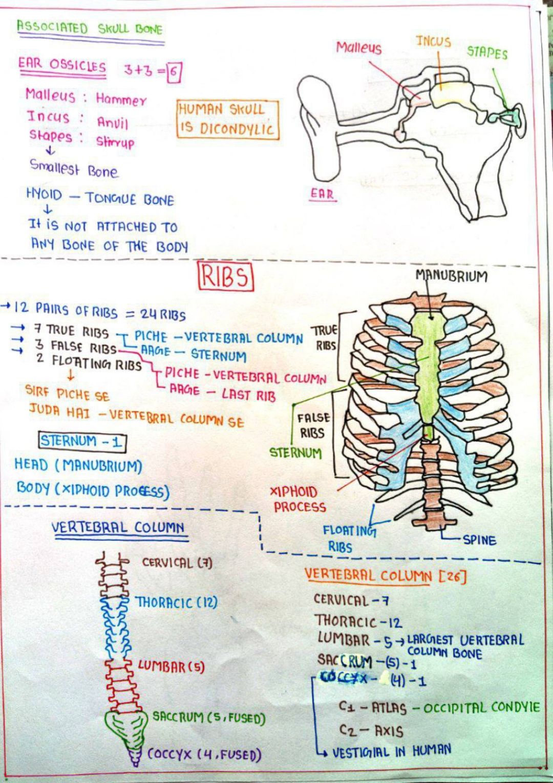 Post image 3
