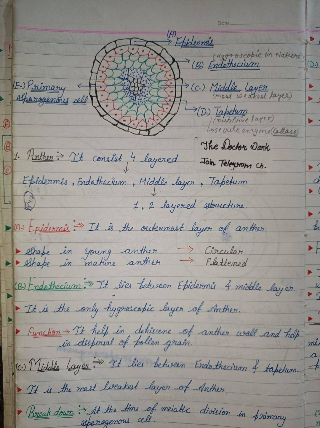 Post image 4